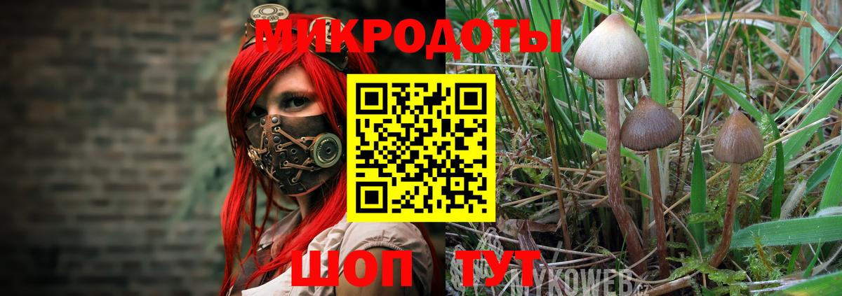 Псилоцибиновые грибы прущие грибы Анапа