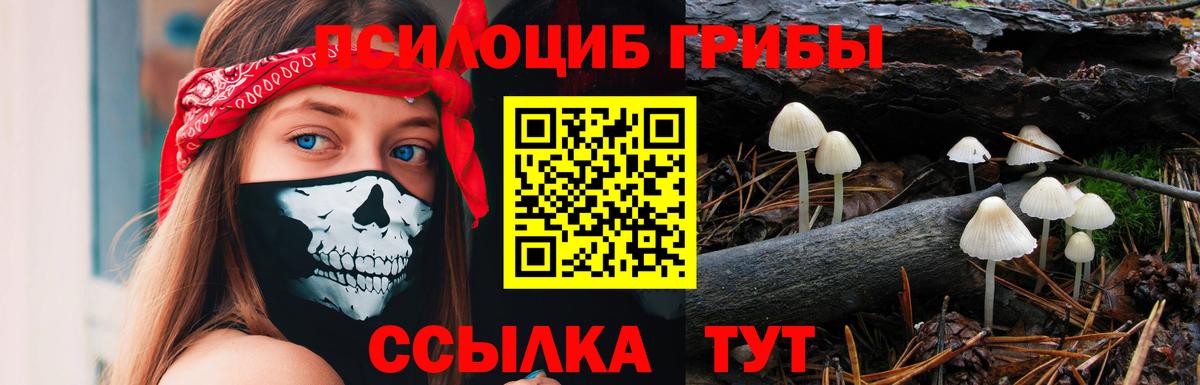 МЕФ Анапа
